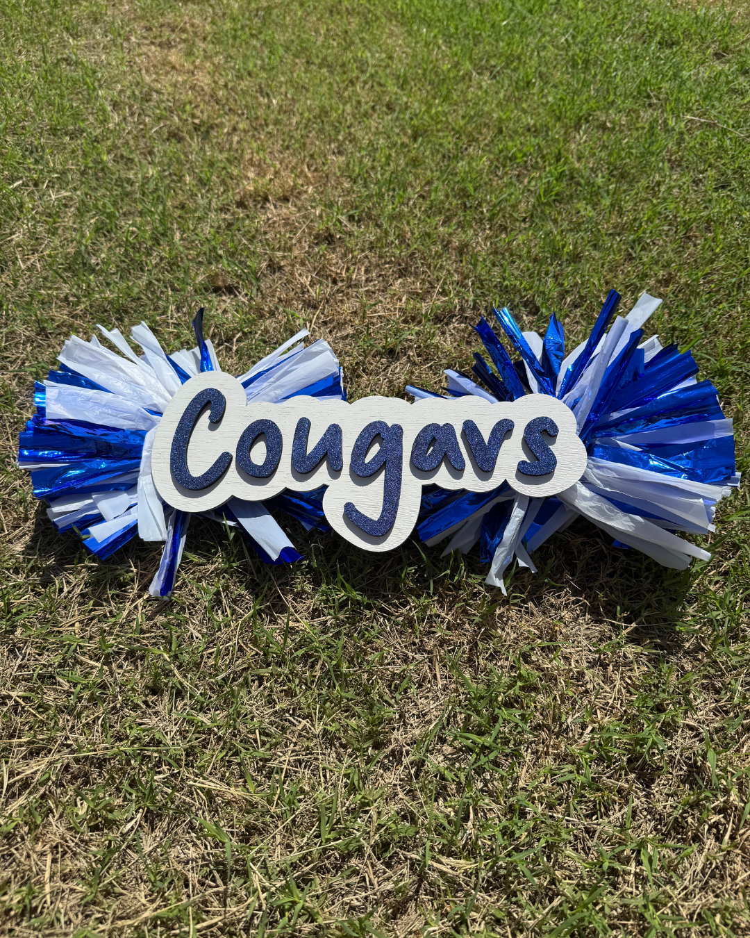 Custom Cheer Sticks